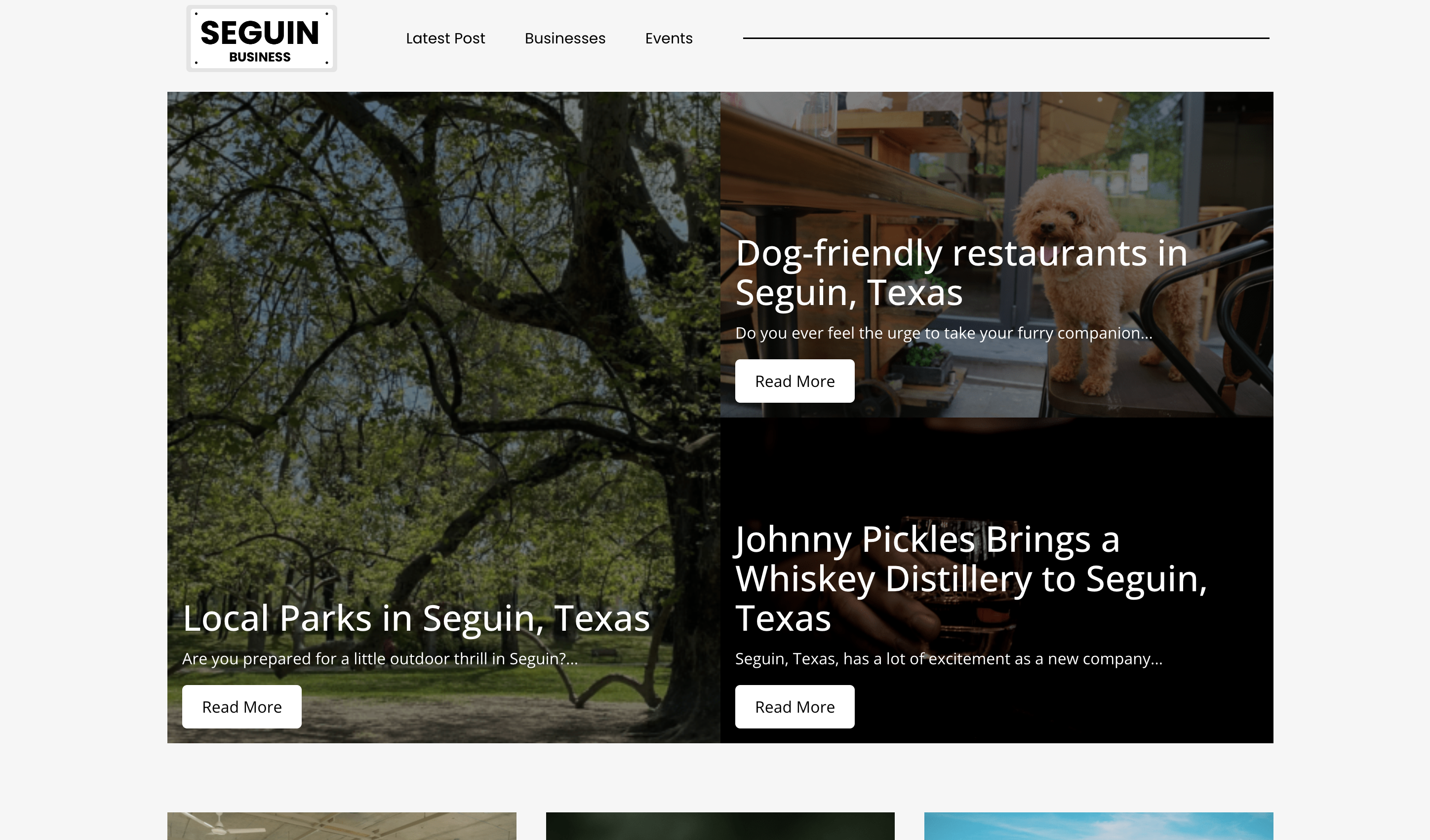 Seguin Business Website