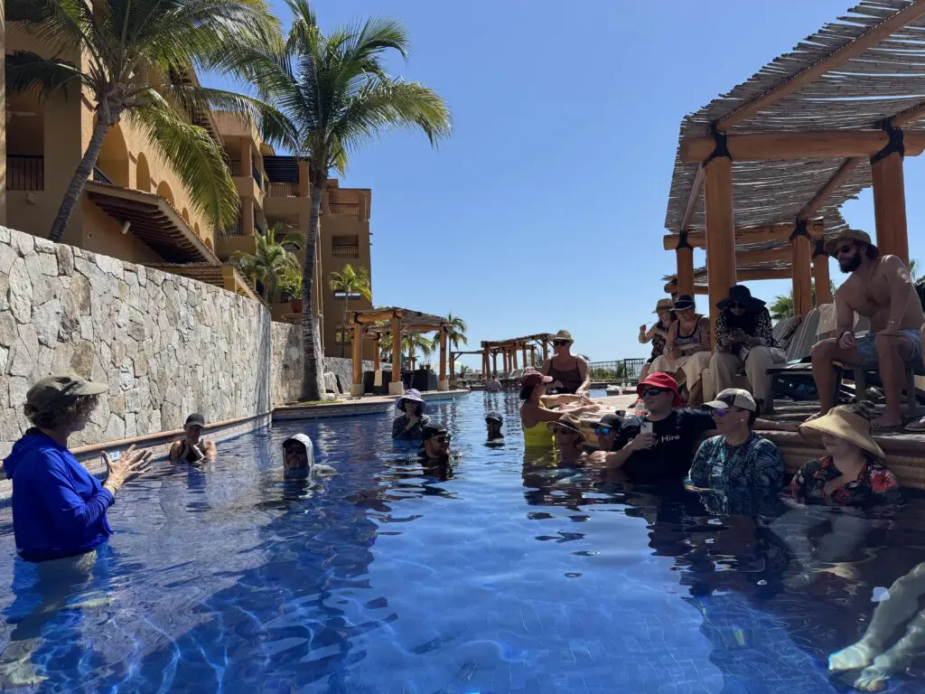 CaboPress talk in the Pool