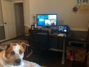 My Office Set Up in My Bedroom with my Dog on the Bed