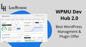 Best Way for Freelancers & Agencies to Manage WordPress Websites